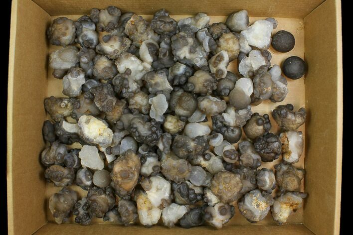 Lot: to Natural Chalcedony Nodules - Pieces #137960